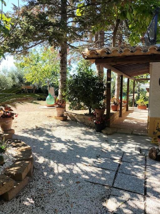Villa Marcella Casa Vacanza Grottazzolina Ngoại thất bức ảnh